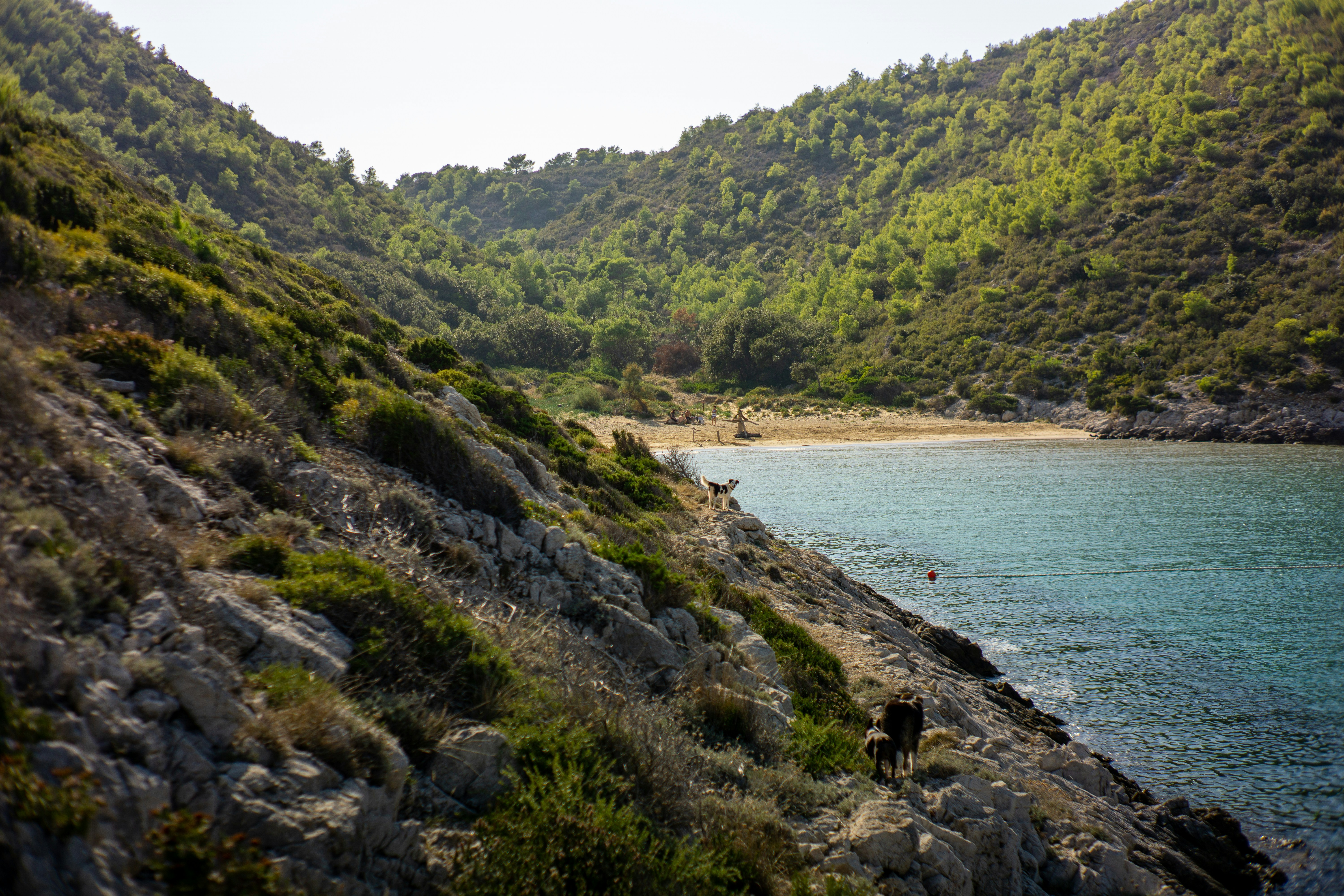 Skrita plaža v uvali na jadranskem otoku